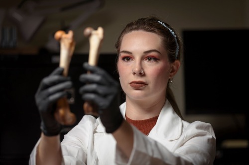 A person in a lab coat holds up two small bone specimens while wearing black gloves.