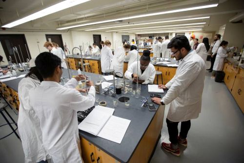 students in a chemistry lab