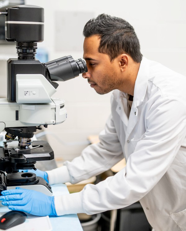 A person wearing a white lab coat and blue gloves is adjusting a microscope in a laboratory setting.