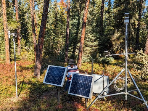 A person works beside two solar panels and environmental monitoring equipment on tripods in a forest clearing, surrounded by tall trees and undergrowth, collecting sustainability or climate research data outdoors.