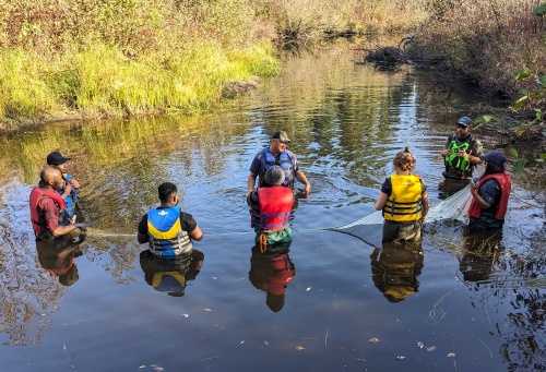 People wearing life vests standing in shallow water while working with a large net.