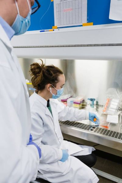 Lab researcher in mask and gloves handling samples inside a biosafety cabinet.