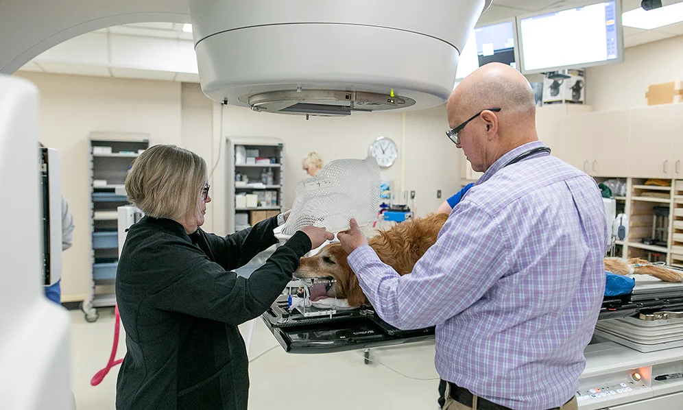 A veterinary team prepares a dog for treatment under a large medical imaging machine.