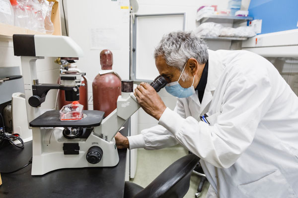 Veterinary Microbiology researcher looking through a microscope in a lab